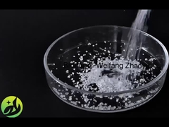 Bronopol – Weifang Zhaoyu